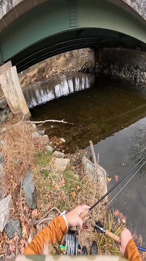 Always can find a trout troll under a bridge. #flyfishing #rainbowtrout | Flyfishdelawhere