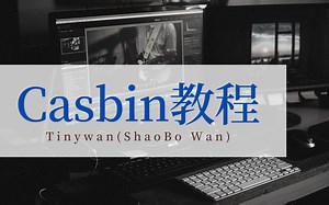 Casbin如何使用自定义匹配函数