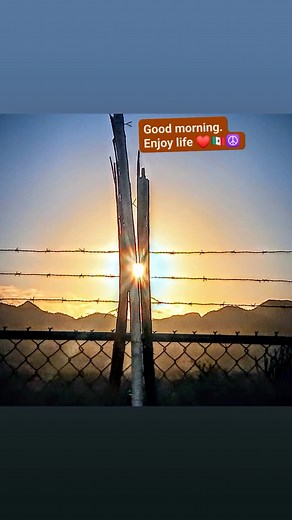 Curtis Kelly on Reels