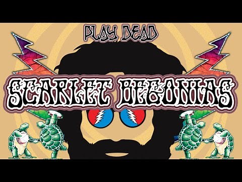 HOW TO PLAY SCARLET BEGONIAS | Grateful Dead Lesson | Play Dead