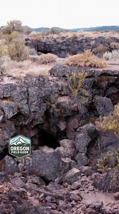 Imagining life on Mars used to conjure images of little green men. But as our knowledge evolves, NASA scientists think any life on the red planet might be akin to rock-eating microbes living in deep, sub-surface caverns. To sniff out the mysterious life forms, the BRAILLE (Biologic and Resource Analog Investigations in Low Light Environments) team heads to Lava Beds National Monument in northern California to test autonomous robotic “dogs” in advance of a mission to Mars. ✍️ by Jule Gilfillan 🎥