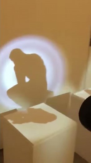 WOW! magic shadows with flashlight