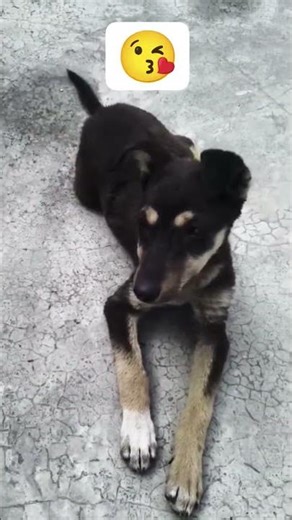 Listen Carefully Challenge 😂 #shorts #funny #thesavagesiblings