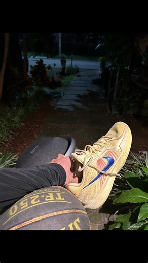 Basketball Passion: Skills and Highlights from Brazil