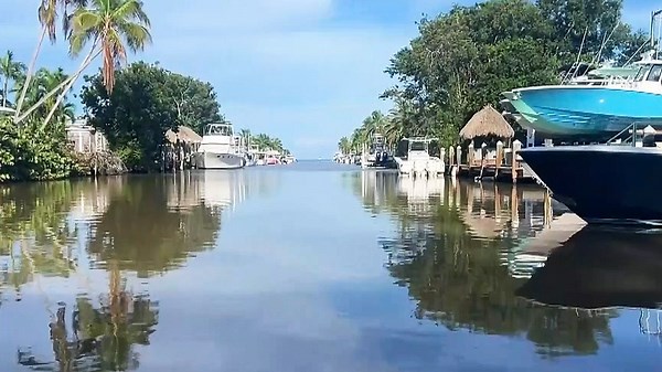 8-year-old boy airlifted to hospital after being bitten by shark in Florida Keys