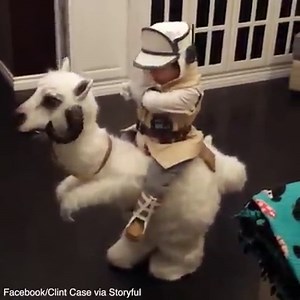 The only way to celebrate Star Wars day 😂 | SkinnyMe Tea