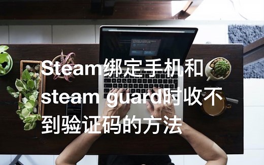 【时间之外】[2022.11.20确认]Steam绑定手机和steam guard时收不到验证码的方法