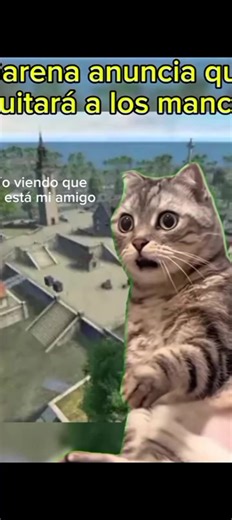 y mi amigo#FREEFIRE #humor #anuncios