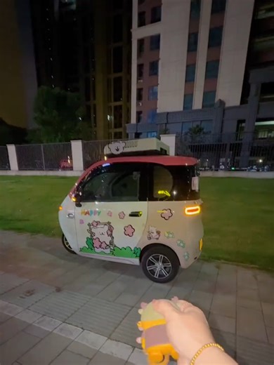 Enduring Hardship: The Experience of Solo Living