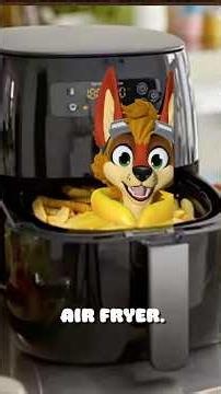 Want to make Friends in the Furry Fandom? BRING AN AIR FRYER! (im serious)