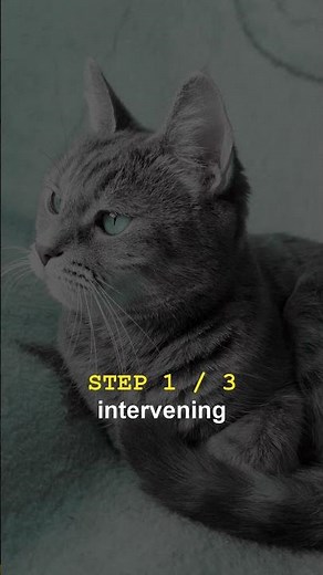 How to Handle Your Cat's Hairball (Hint: Do Less)
