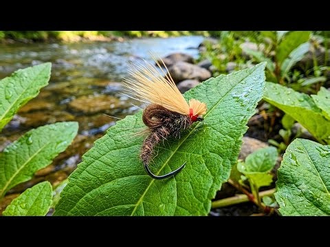 Cdc bubble deer hair emerger fly pattern. How to tie. Fly tying tutorial.