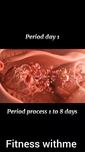 healthandwellness | How periods process................ . . . . . . . #periods #menstruation #period #periodproblems #periodpositive #menstruationmatters... | Instagram