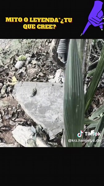 #impresionante #insolito #inexplicable #real #misterioso #aterrador