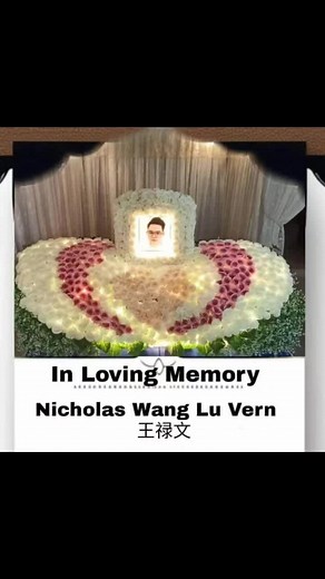Remembering Teddy Nick: A Tribute to My Beloved with Pulmonary Hypertension