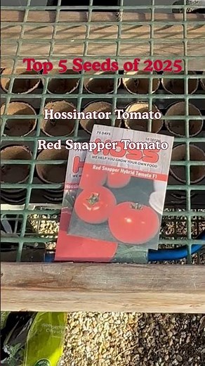 The Top 5 seeds at Grow Hoss in 2025. #growhoss #gardeningreels #vegetablegarden #seedstarting