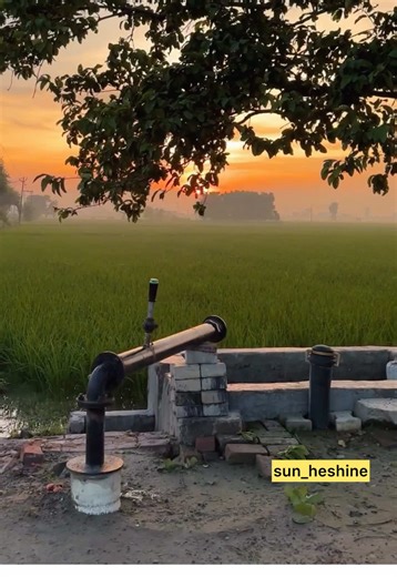 The Beauty of Nature: Farming Under the Sun