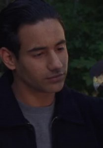 Animorphs S01:E15 - The Leader (Pt. 1)