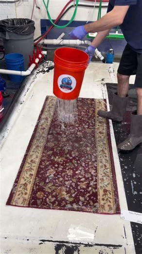 This small rug cleaning is pure ASMR bliss #satisfying #asmr