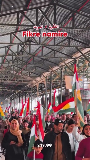 ⁨ الفكرة لا تموت💚❤️💛⁩#⁨Rojava #Protest #Shorts”#Kurdish #Europe #shorts #mahmoud_turan