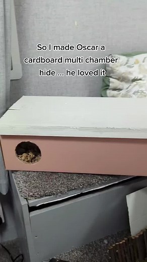 Skye cotter on TikTok