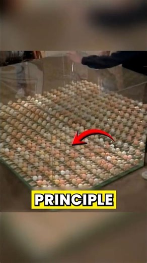 A Simple Way to Understand a Nuclear Chain Reaction ☢️