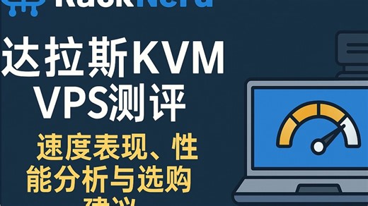 RackNerd美国达拉斯KVM VPS测评：速度表现、性能分析与选购建议