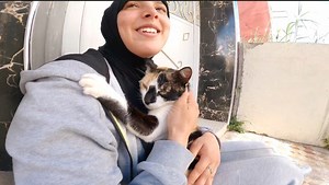 123K views · 10K reactions | The mother cat hugs me like she hugs her kittens. | Feeding Street Cats | Facebook