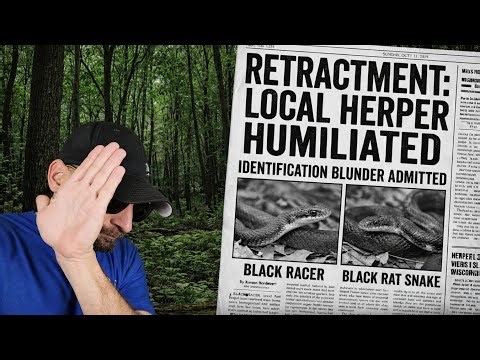 Local Herper Humiliated�️Rattlesnakes, Gators, and Skinks Oh My