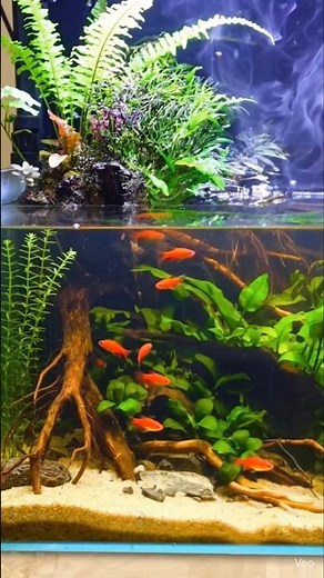 Paludarium: Where Aquarium Meets Terrarium | A Living Mini Rainforest Ecosystem