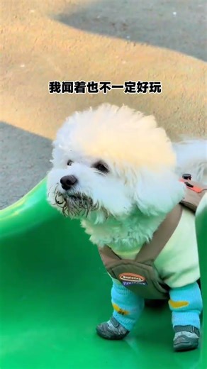 Xiaoyun's Slip-Proof Adventure: Must Try This Slide