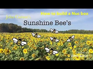 How to build a Bee Hive (Nuc Box)