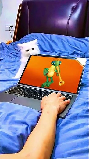 Cat Bites Laptop Screen While Watching Floogull | My Singing Monsters