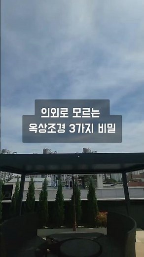 옥상조경 1200곳 시공 끝에 찾은 딱 '3가지' 핵심 비결 공개 #옥상정원#주택조경#테라스조경#옥상조경#테라스꾸미기#베란다조경#사옥정원