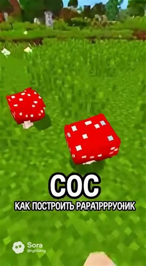 #minecraft #meme #guide #sora #build | minecraft