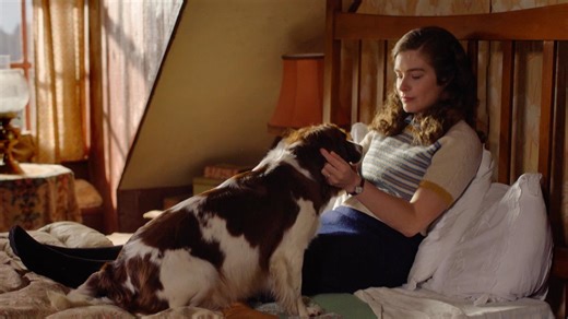 Which Animal is Most Like You? | All Creatures Great and Small