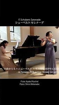 F.Schubert/Ständchen/Liederzyklus "Schwanengesang"F.シューベルト/セレナーデ/歌曲集『白鳥の歌』より【フルートとピアノ】#shorts
