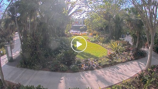 Naples Botanical Garden Cam