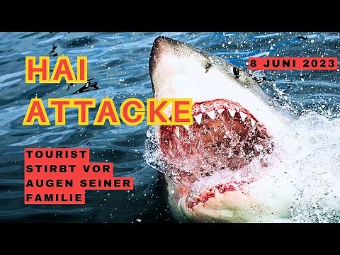 Nach Hai Angriff in Ägypten - Warum passiert es immer wieder?