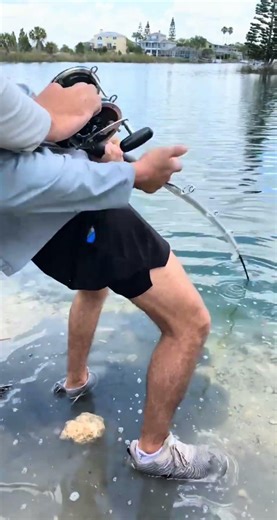 POND MONSTER ALMOST DRAGS ME IN WITH IT🤯 #fishing #florida #ytrrels #viral #pondmonster #bluegill