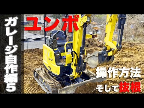 First time using a backhoe to uproot trees. How to operate a backhoe. Uproot trees with heavy mac...