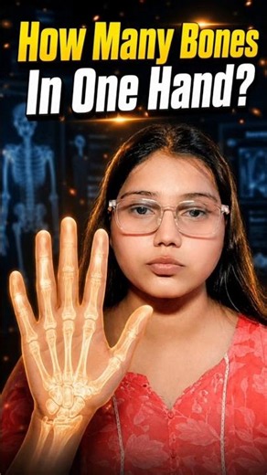 Human Hand Secret Revealed 🖐️
