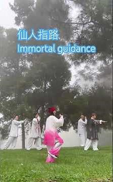 Taichi sword (English instructions) Immortal guidance