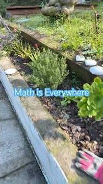 Math Is Literally Everywhere (Spider Web Proof) #mathematics #science #shorts