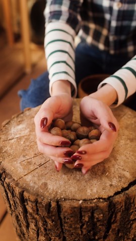 Nutty Slicing Frenzy!