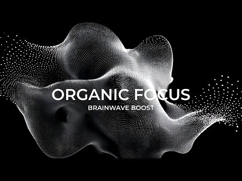 Study Focus - 40Hz Gamma Binaural Beats to Increase Focus & Productivity