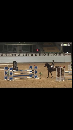 Horse Riding Techniques for Beginners