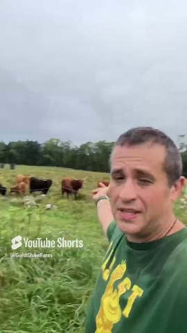 Letting Grass Nap for 60 Days: The Sustainable Farm Trick That Works