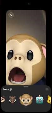 The monkey filter FaceTime edit