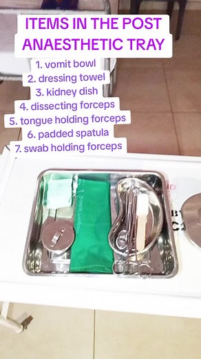 Essential Items in a Nurse's Post-Anaesthetic Tray